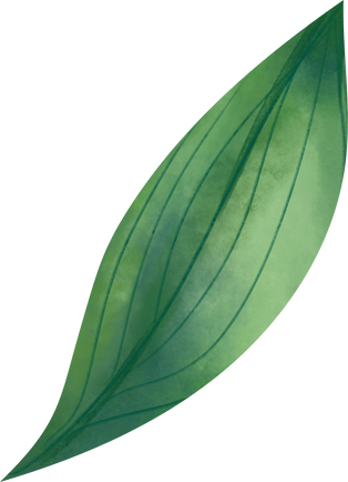 Watercolor Leaf Object 